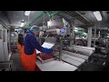 Onboard seafood processing  carsoe