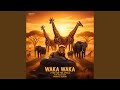 Waka Waka Afro House Remix