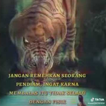 Story Wa || Seorang Pendiam Yg Di Remehkan