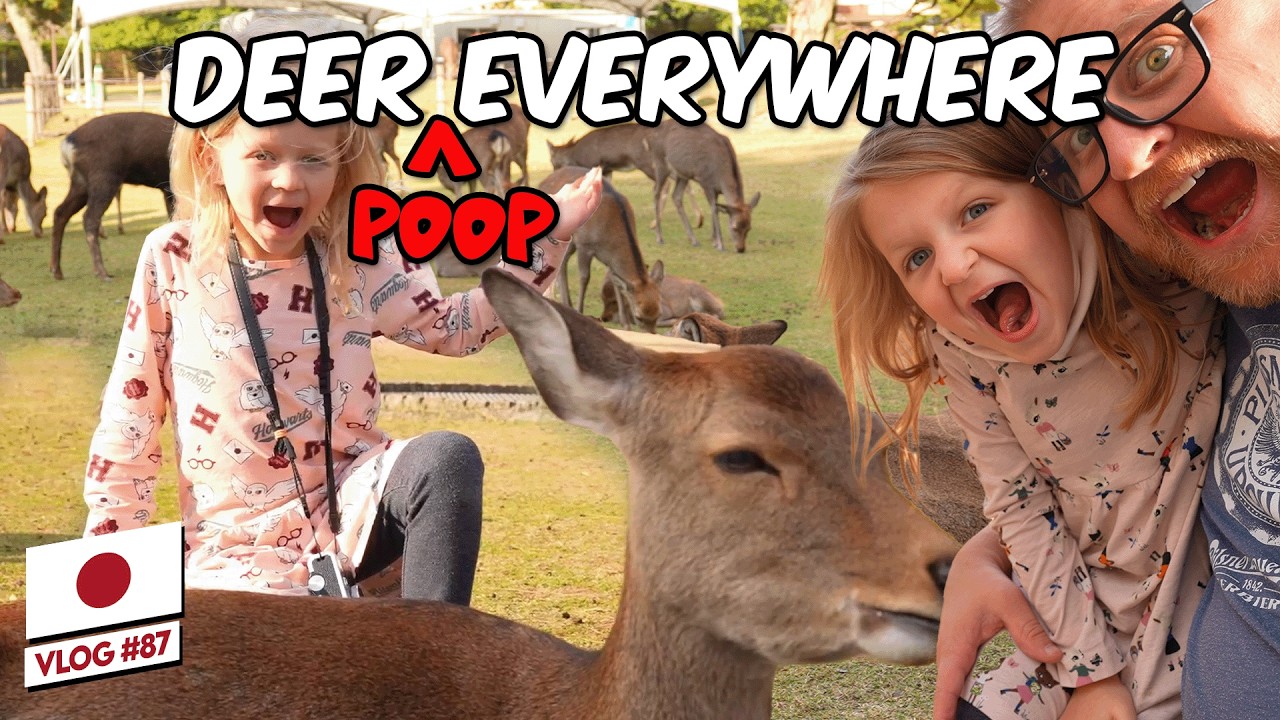 87 | FEEDING WILD DEER IN NARA π―π΅ Full Time Family Travel