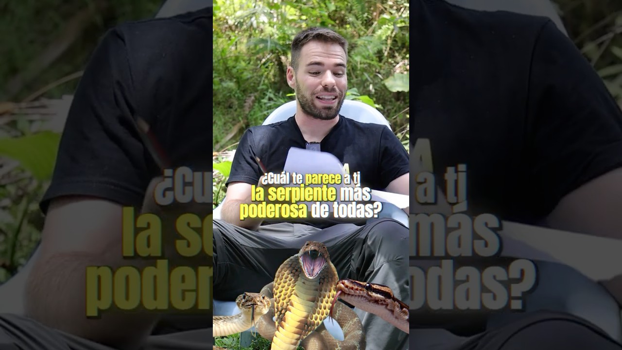 La Serpiente más FUERTE🐍