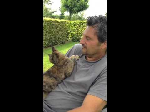 Video: Kan Straatkatte En Rondloper Katte Troeteldiere Word?