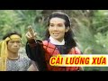 C l y l v ci lng h qung hay nht ca v linh phng mai kim t long