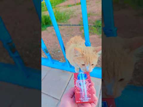 مين أخد العصير اللي مع ماما تالاوديالا   اكسبلور   