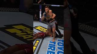 TURN OFF THE LIGHTS! RAKIC IS AN EXTREMELY - UFC #shorts