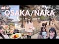 🎀 🇯🇵 OSAKA parte 2 🦌 [vlog] | bambis, Umeda, noches, risas, templos, compras - eng subs