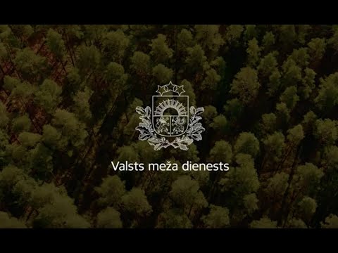 Video: Vai valsts meži tiek slēgti?