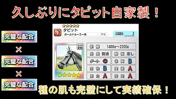 تحميل ダビマス ハムりんのドリームボール 必須級のラーイは必ず手に入れろ 第233回ダービースタリオンマスターズ攻略 Mp4 Mp3