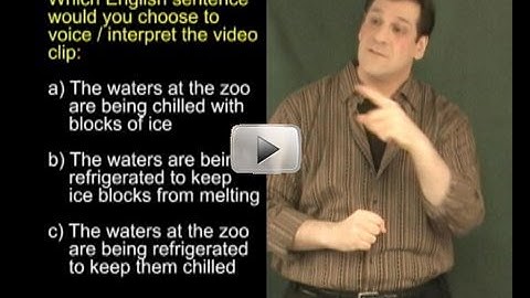 American Sign Language Interpreter Training DVD - Receptive Skills Practice at EverydayASL.com