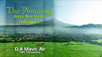 DJI Mavic Air | The Amazing Green Rice Fields of West Java
