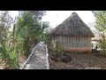 Cabañas Ecoturisticas en Ek balam.🇲🇽⭐⭐⭐⭐⭐🇲🇽