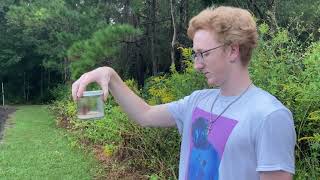 Uf Entomology Club 2021