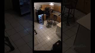 A man and his daughter had been experiencing strange and disturbing activity inside their home.