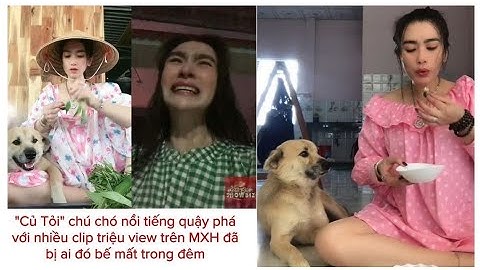 Chú chó củ tỏi nổi tiếng tik tok- Chủ nhân khóc thấy thương nhưng vẫn vấp phải tranh cãi