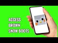 How to Access Brown Snow Boots on Finch