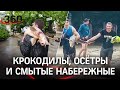 Вековой потоп в Ялте: крокодилы, осётры и смытые набережные