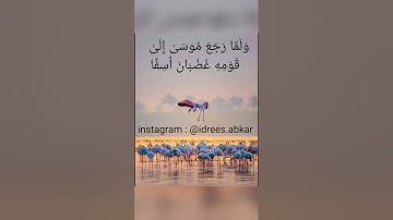 ولما رجع موسى إلى قومه غضبان أسفا#تلاوة للقاريء الشيخ#إدريس_أبكر من#سورة_الأعراف