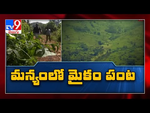 ప్రపంచానికి మత్తు అందేది అక్కడ నుంచేనా ? - TV9 Exclusive