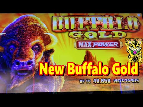 free slots casino games buffalo slots 2022