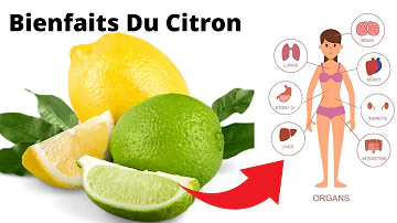 Quels sont les différents citrons ?