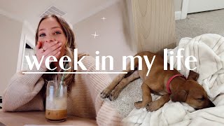 vlog: WE GOT A PUPPY!! Trader Joes restock, closet organization, & getting our dining room chairs