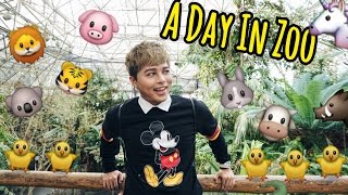 你確定你知道這些動物的英文名字嗎A DAY IN ZOO