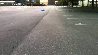 IMG 0810