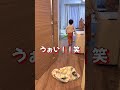 まさかの事態にしょぼんとする豆柴【柴犬】#shorts
