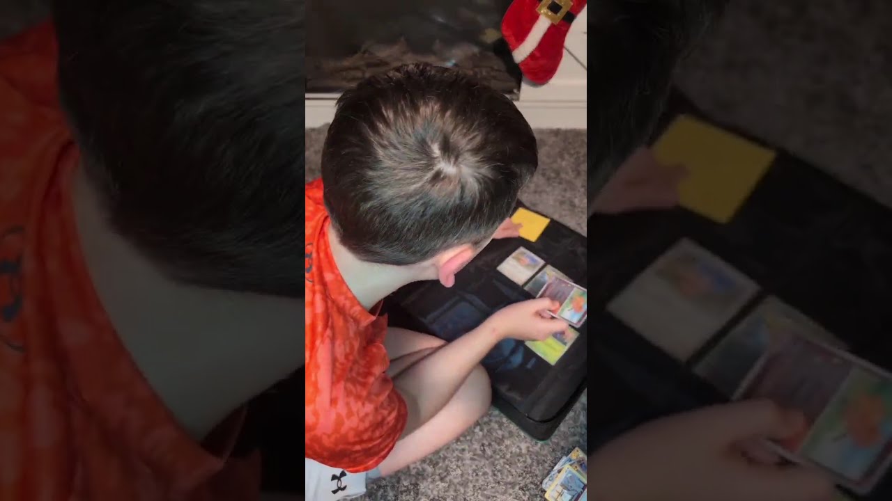 Part 1 National Dex Binder 