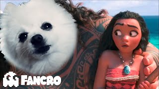 MOANA - Beto Castillo - De nada (Versión Perruna) by Fancro 12,074 views 2 years ago 2 minutes, 27 seconds