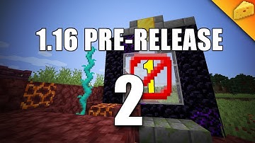 Fatal Errors Fixed! - Minecraft 1.16 Pre-Release 2