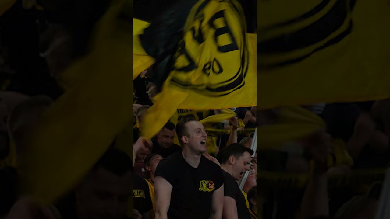 THE YELLOW WALL 💛 