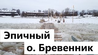 Эпичный бревенник