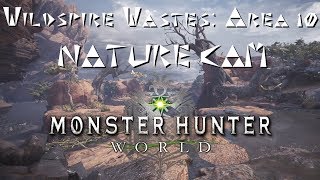 MHW: Wildspire Wastes: Area 10 Nature Cam