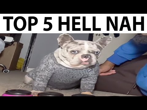Top 5 Hell Nah