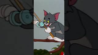 Mierendiefstal | Tom and Jerry | Cartoonito #Shorts