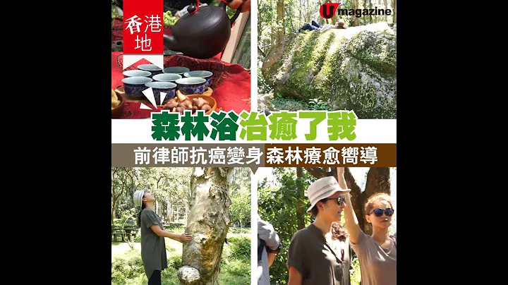 【#香港地】前律師變身森林浴導師 - 天天要聞