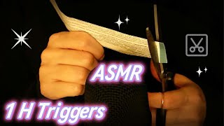 ASMR | 80 Level | Brain Massages 1 Hr | No Talking