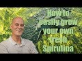 How to easily grow you own fresh Spirulina