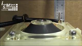 High Stroke Dielectric Elastomer Actuator