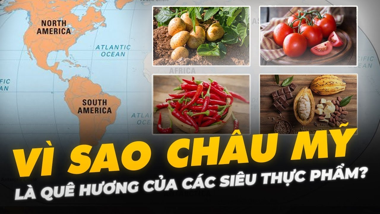 VÌ SAO CHÂU MỸ LÀ QUÊ HƯƠNG CỦA CÁC SIÊU THỰC PHẨM?
