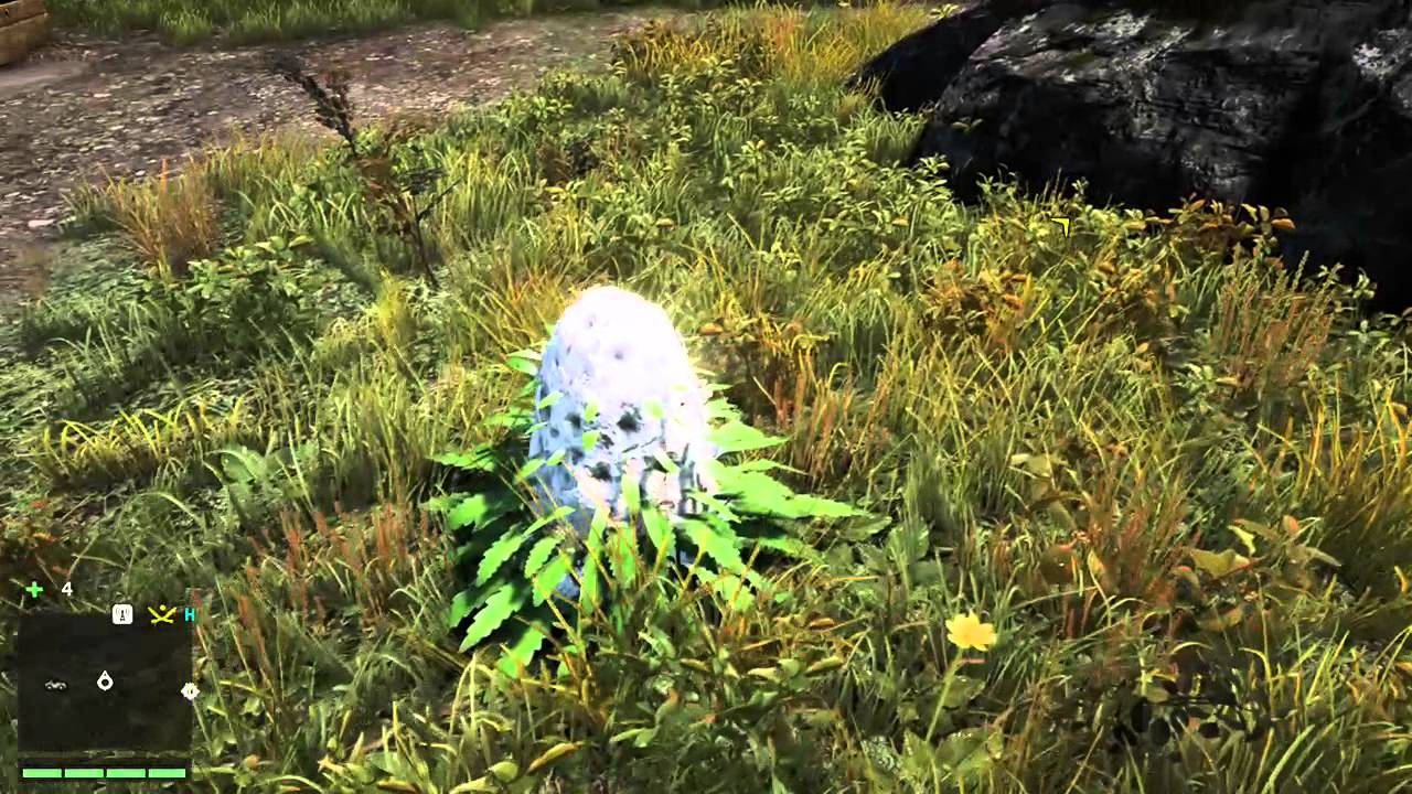 Far Cry 4 Grosse Tete De Beuh Youtube