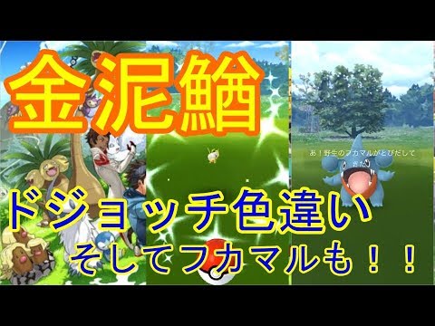 ポケモンgo 色違いドジョッチゲット フカマルも 無課金 Youtube