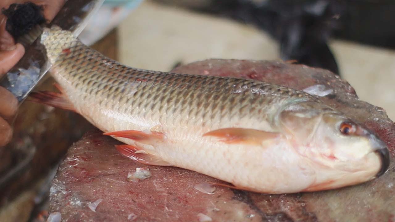 Big Rui Fish Skinning | Chopping By Expert Fish Cut | Pleasing Knife Skills | Cutting B Rohu Fish