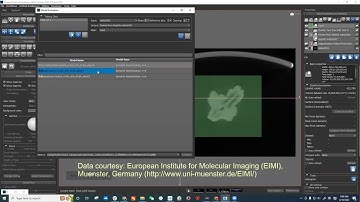 [Webinar 2022-08-10] Evaluate Deep Learning models by comparing segmentation results to ground truth