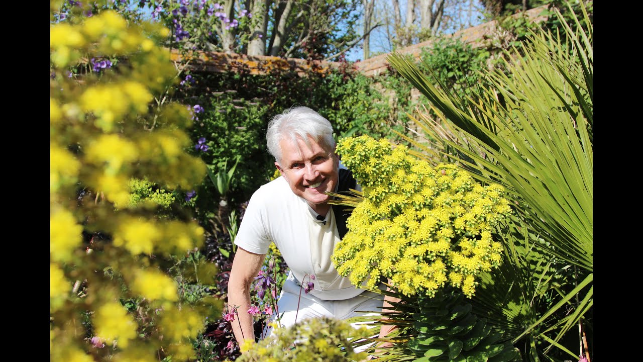 Get Gardening: From Carpark to Garden