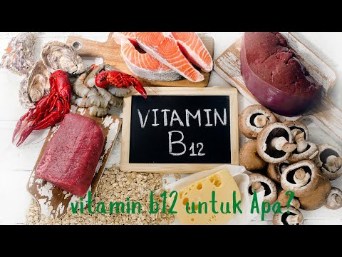 Simak Gejala Kekurangan Vitamin B12 dan resikonya