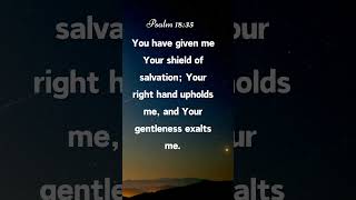 Psalm 18:35 You have given me Your shield of salvation; Your right hand upholds...#god #jesus #short