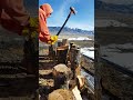 How-To  Split 12 #Firewood Rounds in 20 seconds #splittingwood #firewood #frozen
