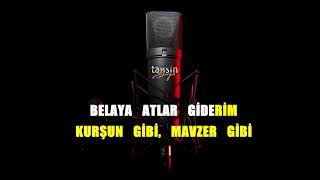 Ahmet Kaya - Kafama Sıkar Giderim / Karaoke / Md Altyapı / Cover / Lyrics / HQ Resimi